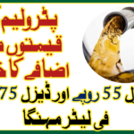 Fears of Increase in Petroleum Prices