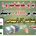BISP 14500 Payment Status
