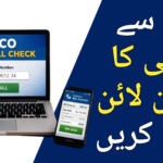 Check FESCO Bill Online