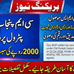 Petrol Subsidy Withdrawal Methods