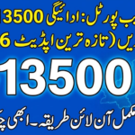 8171 Web Portal 13500 Payment