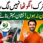 BISP Biometric Verification Errors