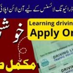 Apply for Learner Driving License Online in Pakistan