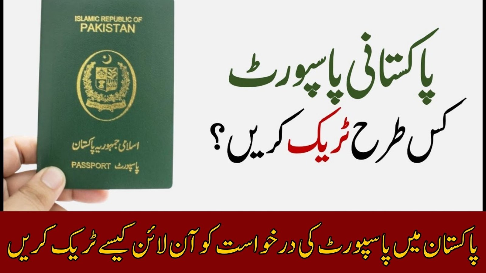 How to Track Passport Application Online in Pakistan
