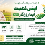 Apna Khet Apna Rozgar Scheme – Online Apply & Portal Login Guide 2026 – akar.pulse.gop.pk